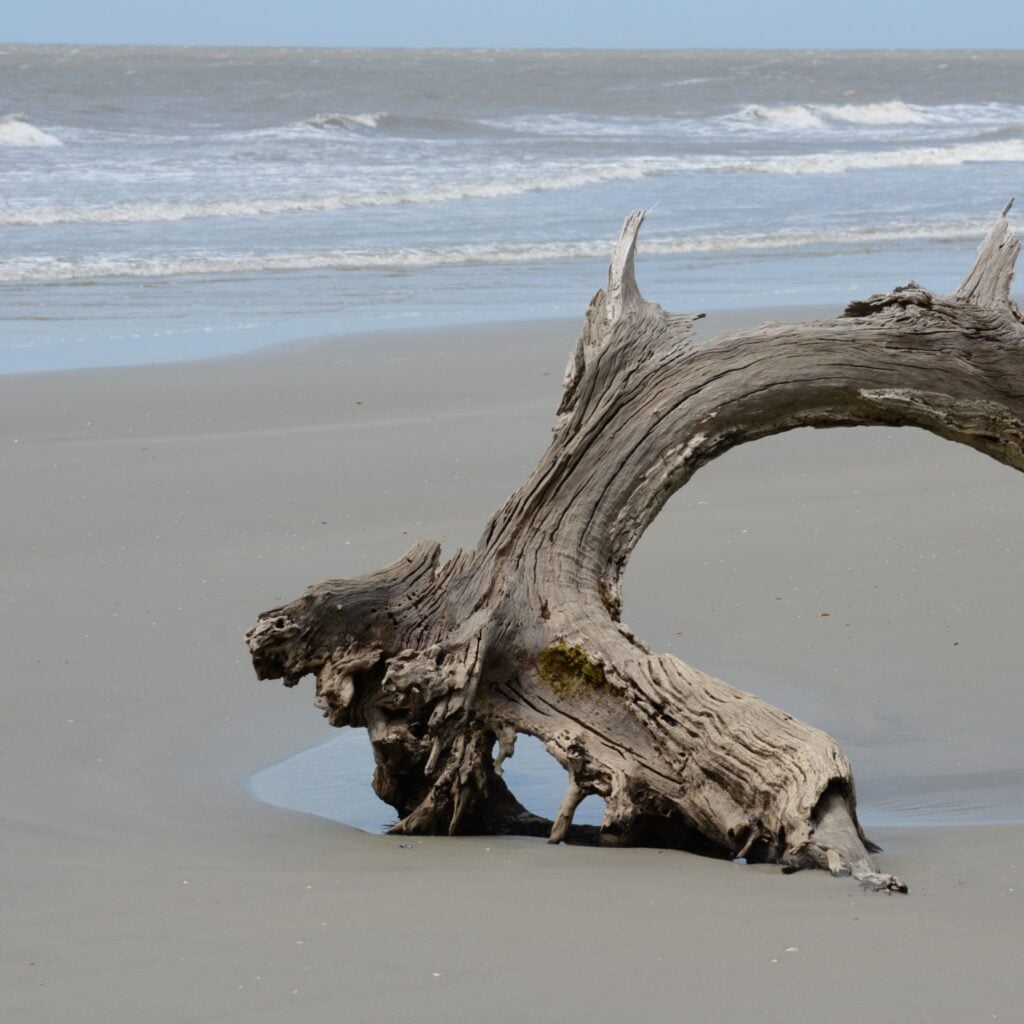 bulls island beach