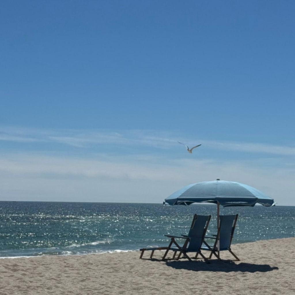 Two empty beach chairs sit under a blue umbrella on a sunny carolina beach. A seagull soars above the sparkling ocean under a bright, clear sky.