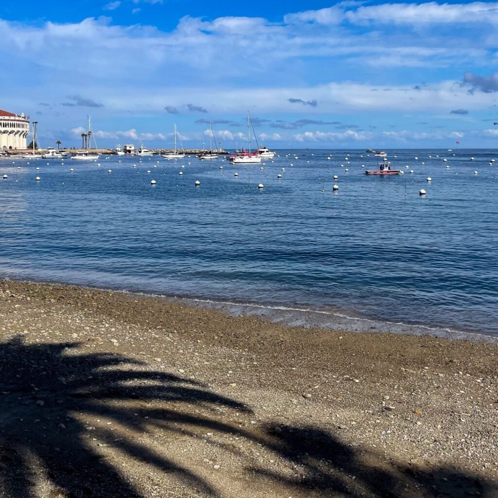 Avalon. California, January 27, 2025: A visit to Catalina Island and Avalon, California looking at the Casino from the beach with Palm Tree Shaddoes