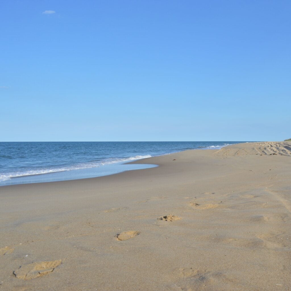 False Cape State Park, Virginia