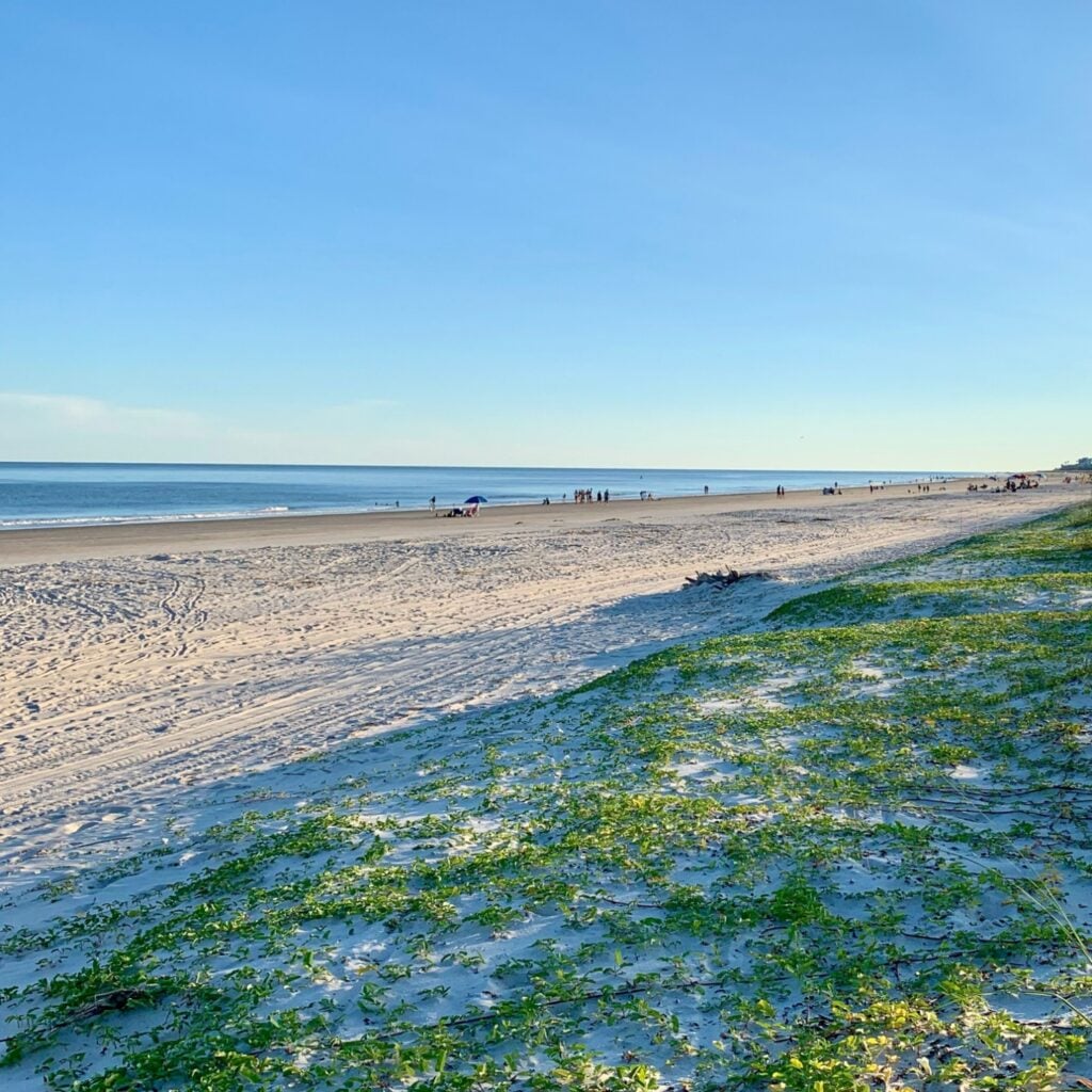 Morning landscape in Hilton Head Island, SC