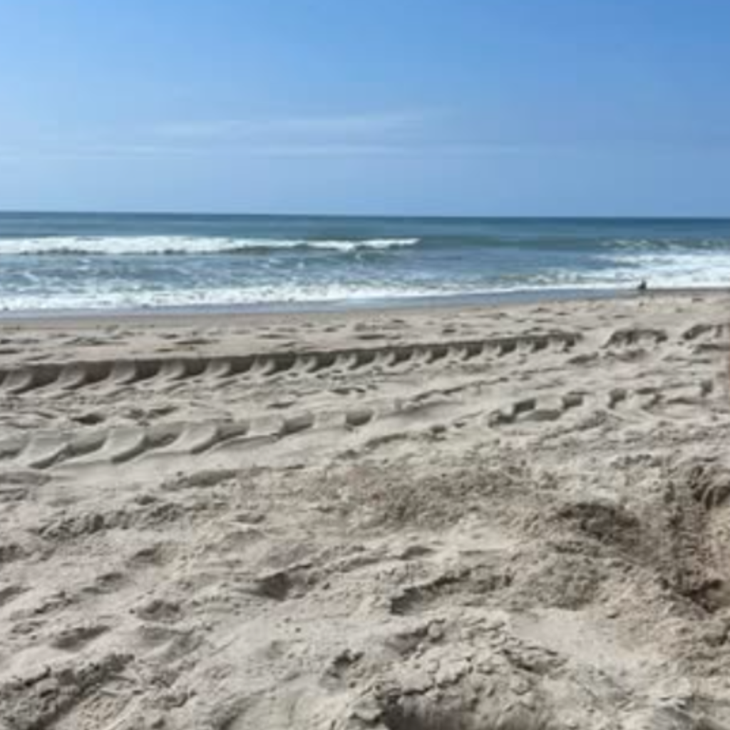 Soft waves roll onto the sandy shore at Indian Beach under a clear blue sky, with visible tire tracks in the sand and part of a person’s head in the corner.