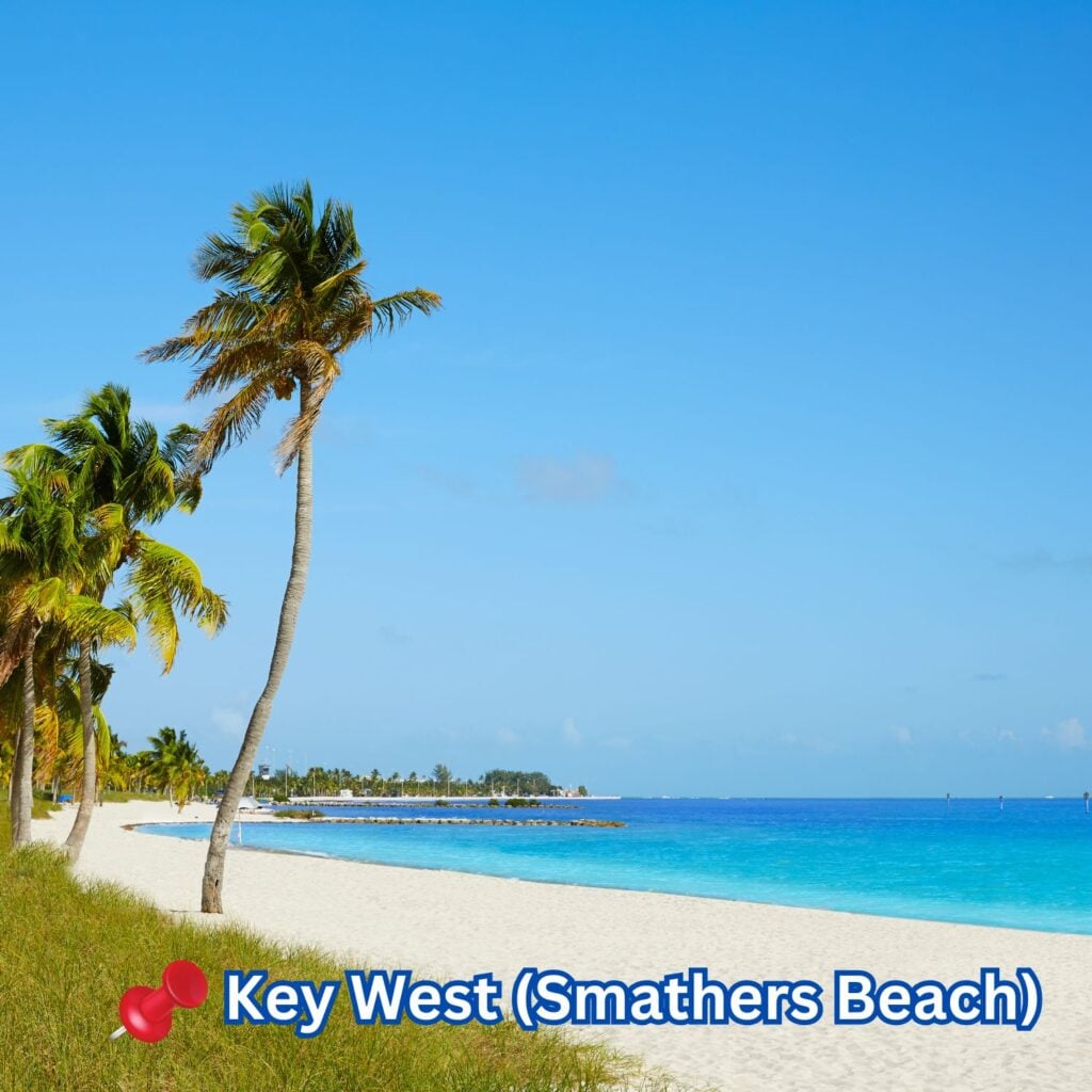 Tall palm trees line the soft white sands of Smathers Beach in Key West, with bright turquoise waters and a clear blue sky creating a tropical paradise.