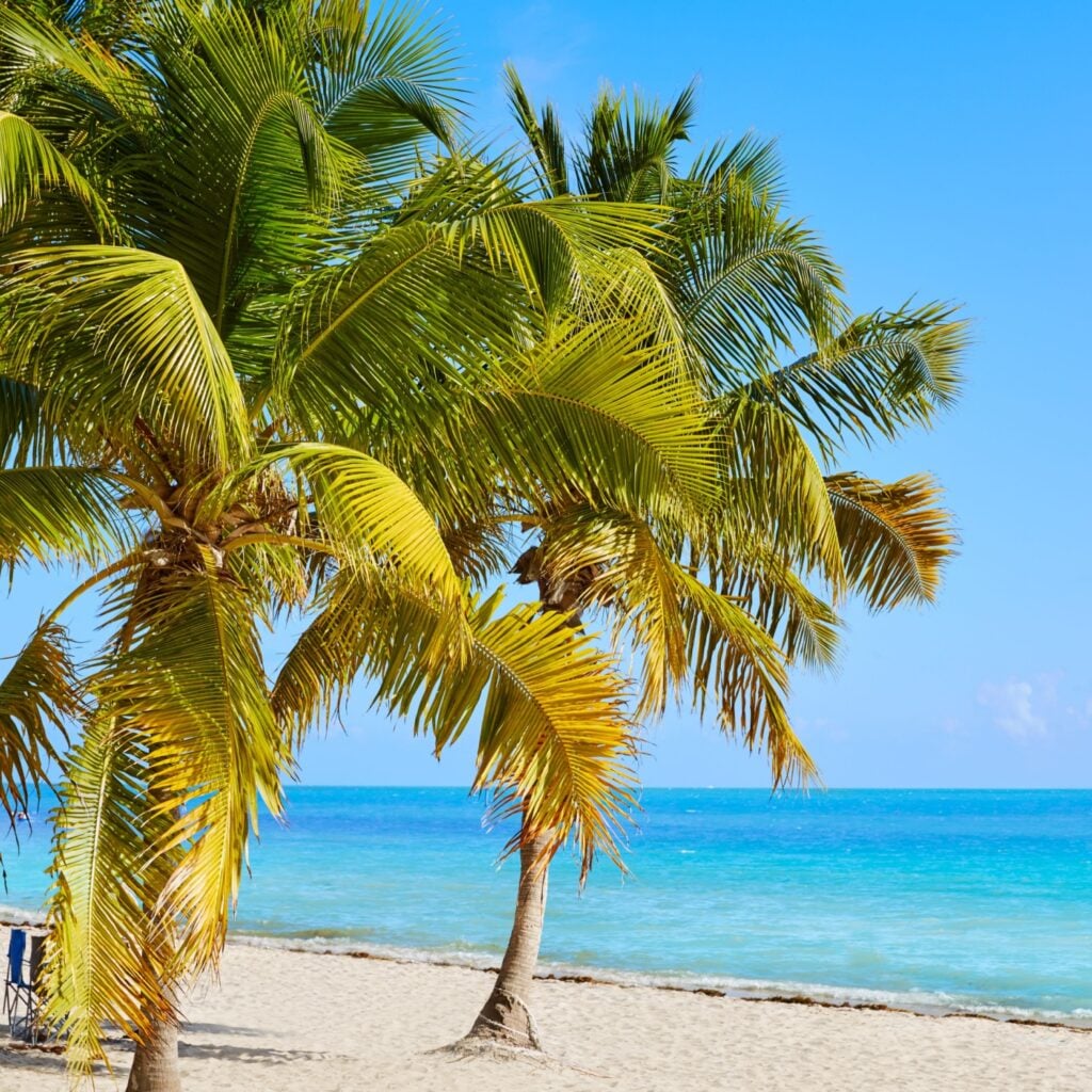 Smathers Beach in Key West offers soft sand, calm Atlantic waves, palm trees, and water activities, creating a relaxing tropical escape for beachgoers.