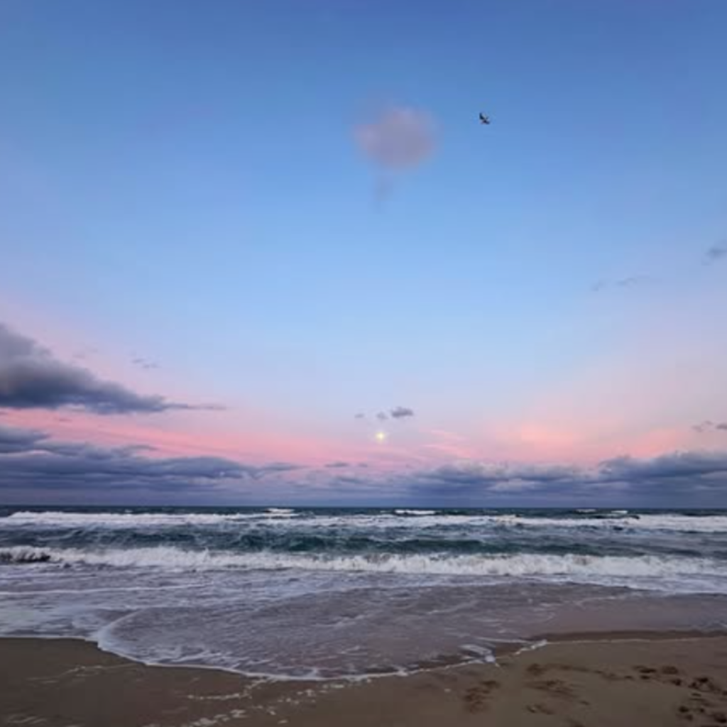 Waves crash onto a sandy shore under a pastel sky at dusk. Soft pink and blue clouds fill the horizon as a bird soars high above the ocean water.