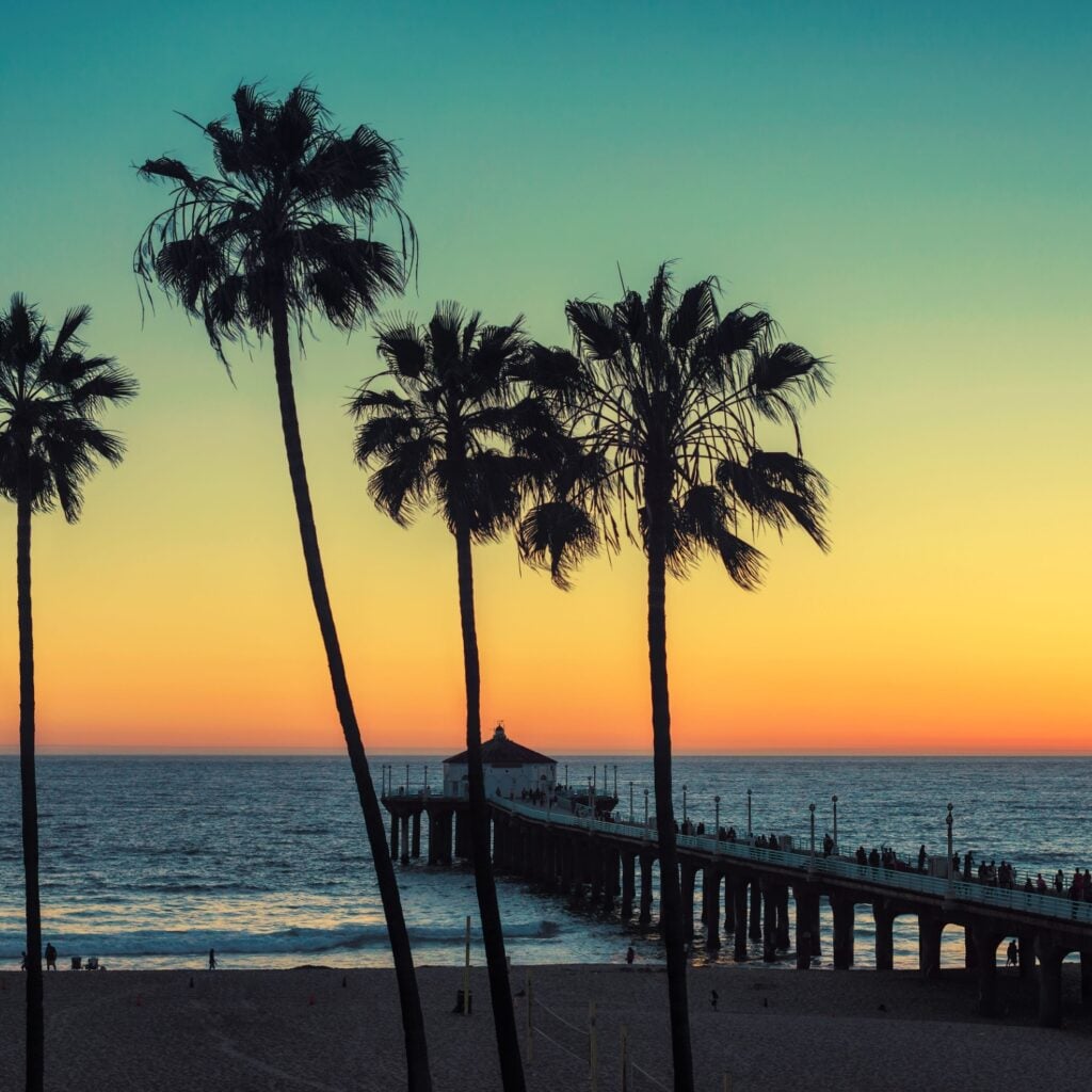 Palm trees at Manhattan Beach. Vintage processed. Fashion travel and tropical beach concept.
