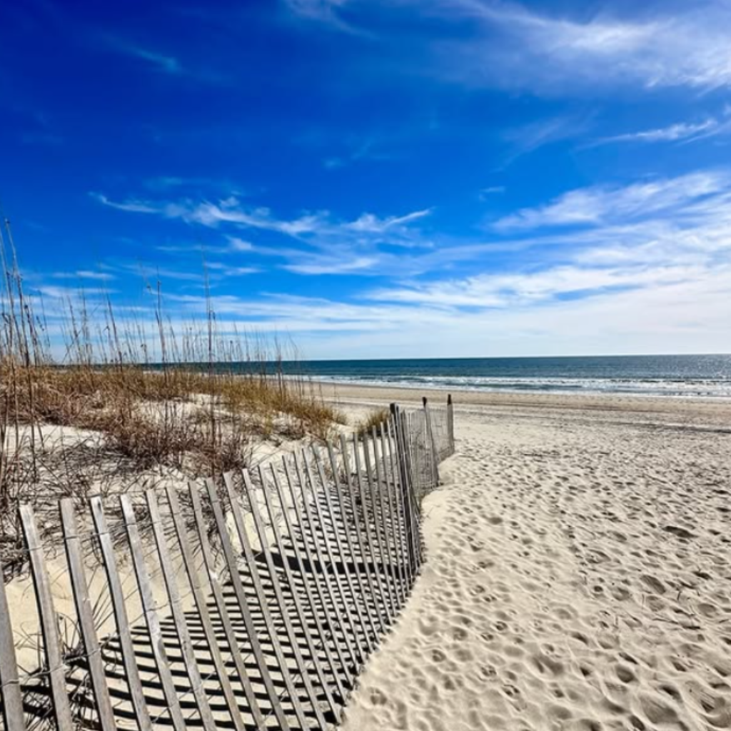 A peaceful view of Ocean Isle Beach with soft sand, sea oats, and a wooden fence along the dunes, leading to the calm shoreline under a bright blue sky.