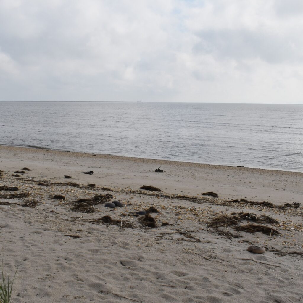 Early morning at the beach, Slaughter Beach, Delaware, looking out onto the ocean