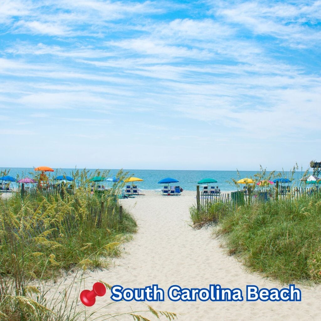 A sandy path lined with grass leads to South Carolina Beach, where colorful umbrellas and beach chairs face the calm ocean under a bright blue sky.