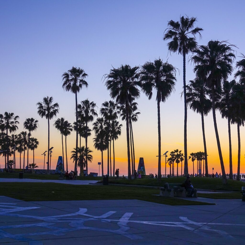 Venice Beach after sunset - silhouettes of Palm Trees
