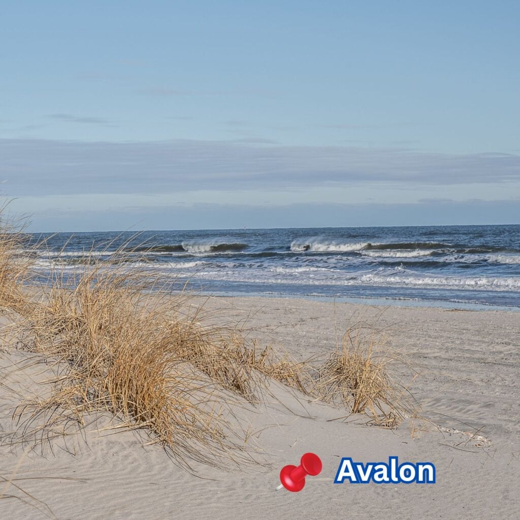 Sand Dunes Avalon, New Jersey