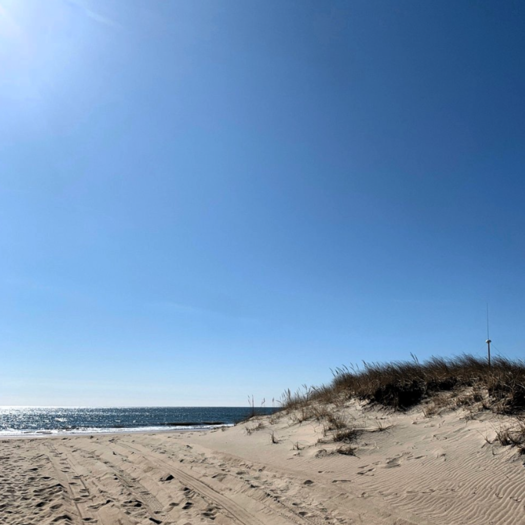 Atlantic Avenue Beach in Amagansett with soft sand, dune grass, and ocean views under a clear blue sky, showing a quiet shoreline and natural setting.