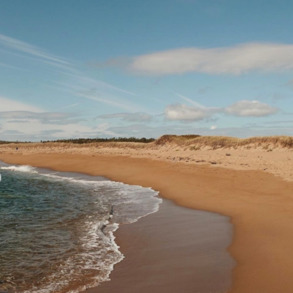 Golden sand curves along the shoreline at Reid State Park in Georgetown, ME, with gentle waves rolling in and grassy dunes lining the quiet, natural beach.
