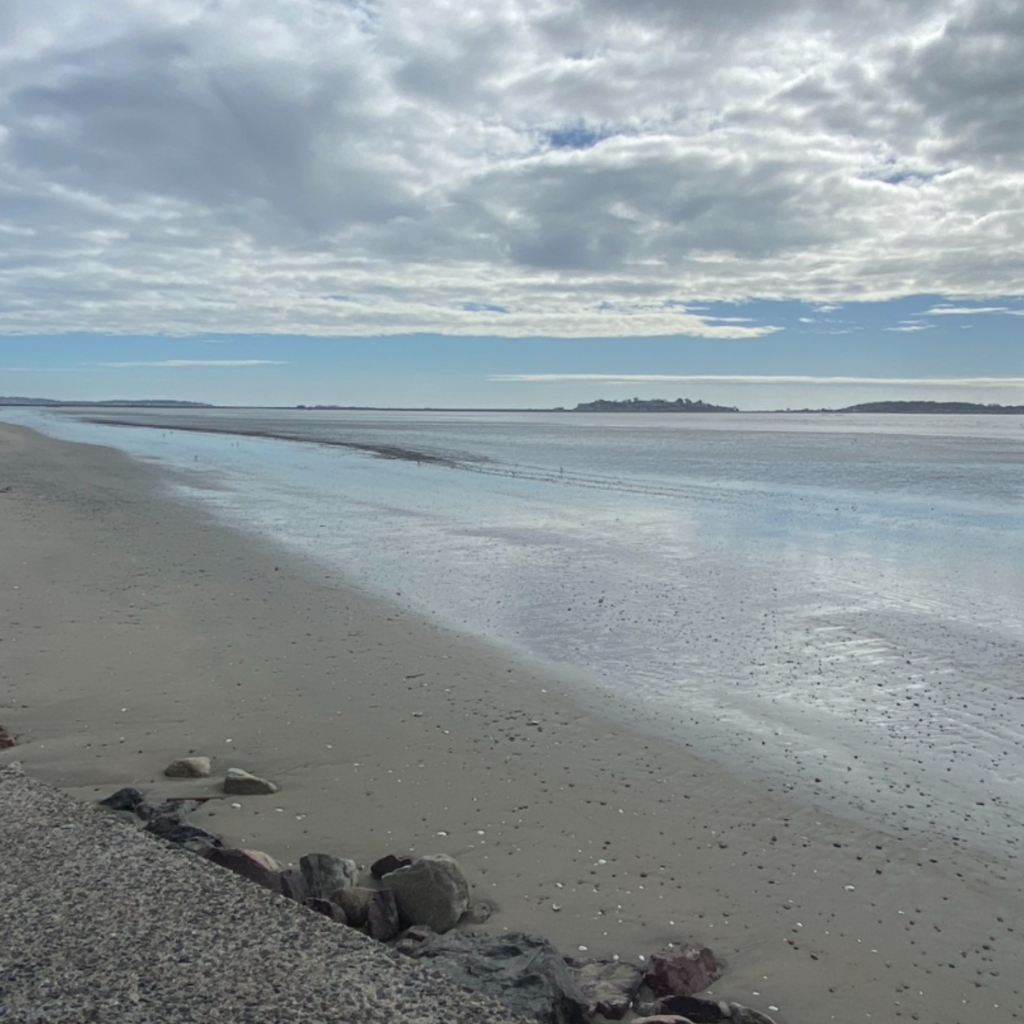 A calm morning at Revere Beach in Revere, MA, with wet sand stretching along the shoreline, scattered seashells, and distant islands under a cloudy sky.