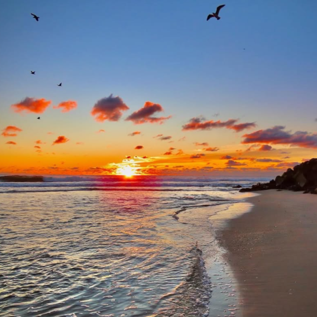 Vibrant beach sunrise with golden reflections on the water, seagulls flying overhead, and soft waves gently washing over the sandy shore near rocky cliffs.








