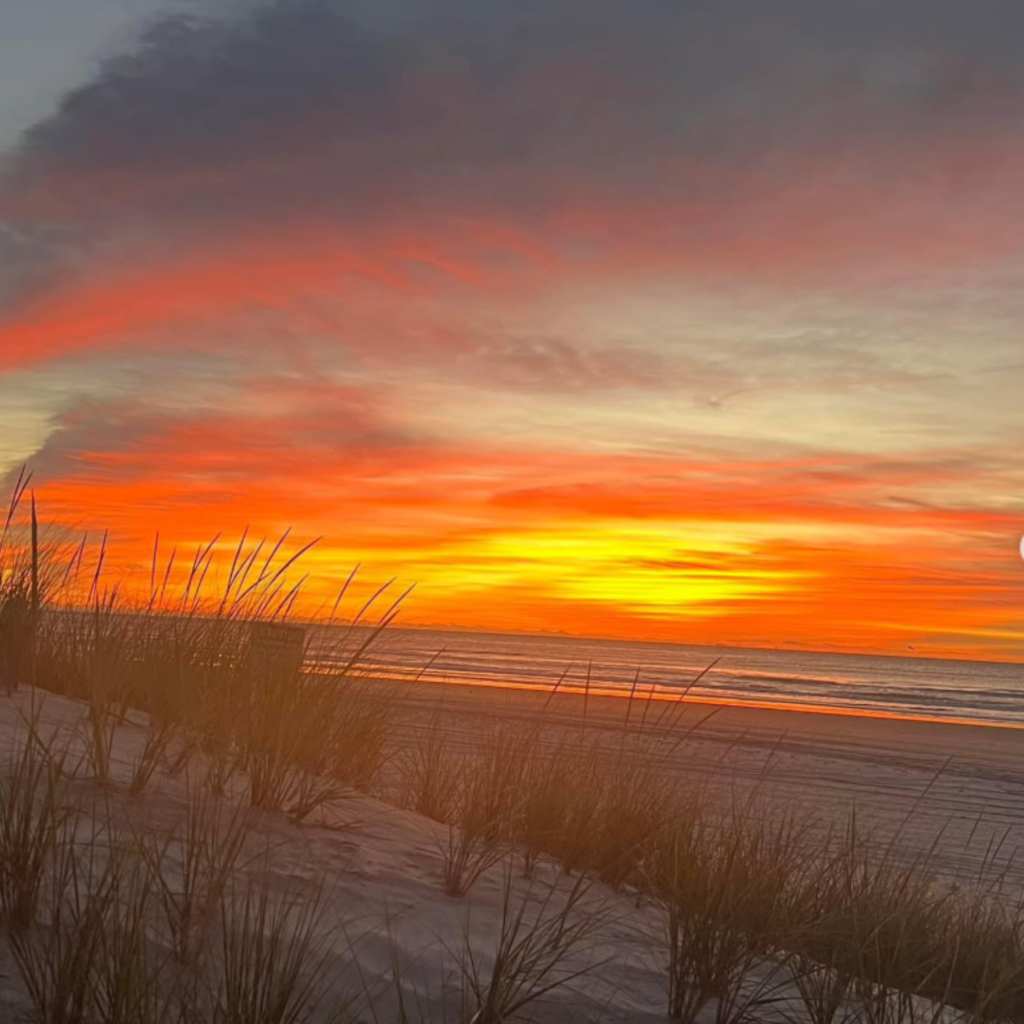 Fiery orange and yellow sunrise over calm ocean waves, with sea grass growing in soft sand dunes under a dramatic, colorful sky at the beach.