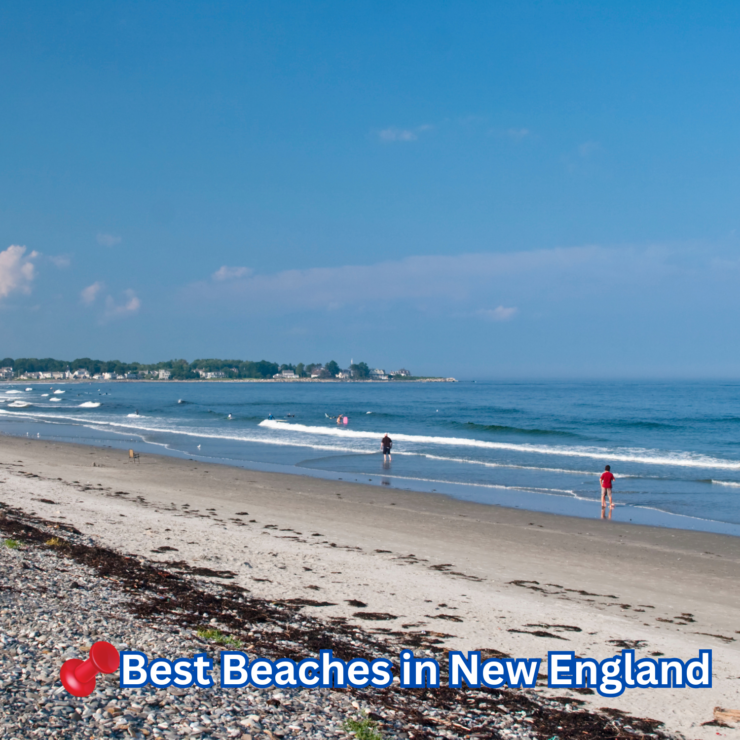 A sunny day at a New England beach with calm waves, scattered seaweed, and people wading in the water, with homes visible in the distance.