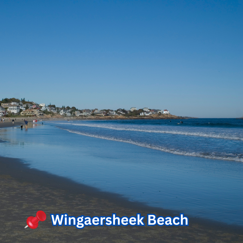 People stroll along the wet sand at Wingaersheek Beach in Gloucester, MA, with gentle waves lapping the shore and coastal homes visible in the distance under a clear sky.